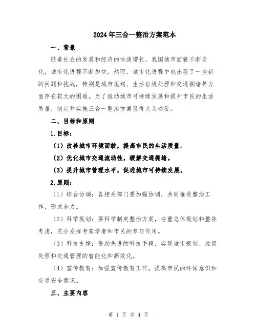 2024年三合一整治方案范本