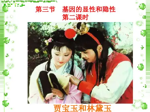 7.2.3 基因的显性和隐性 第二课时-人教版八年级生物下册课件(共26张PPT)
