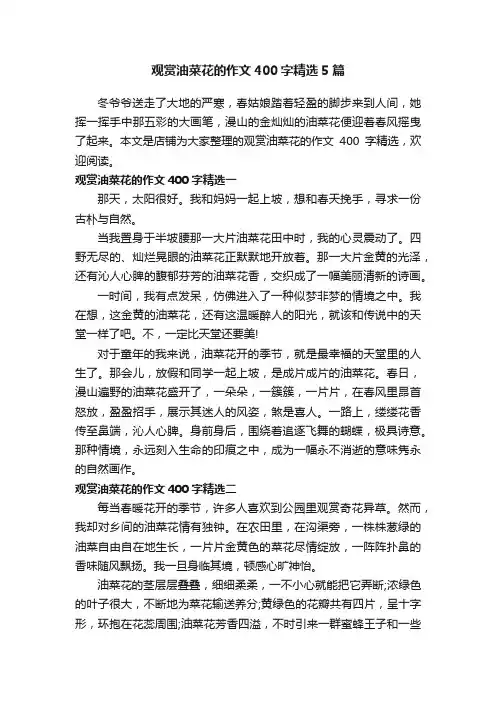 观赏油菜花的作文400字精选5篇