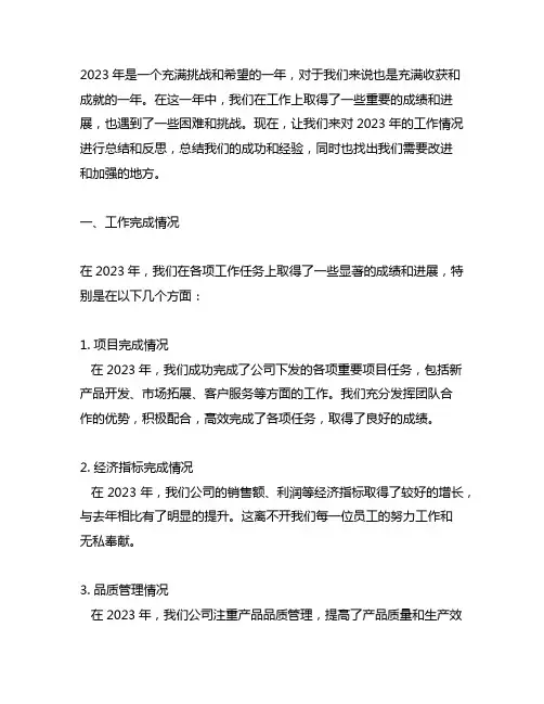 2023年工作完成情况及总结