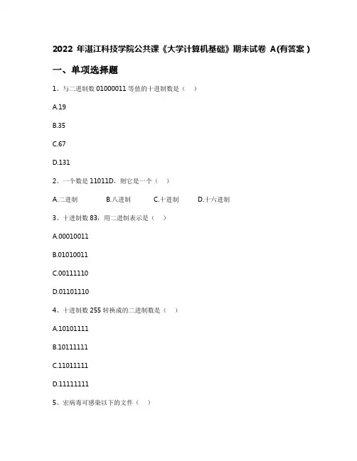 2022年湛江科技学院公共课《大学计算机基础》期末试卷A(有答案)