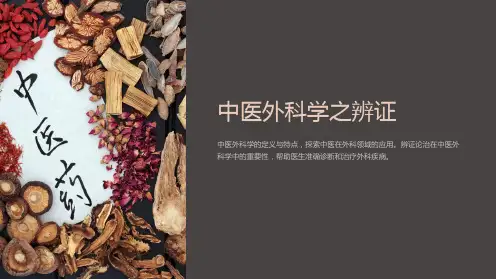 《中医外科学之辨证》课件
