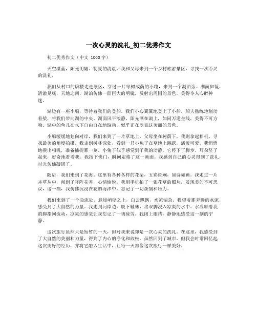 一次心灵的洗礼_初二优秀作文