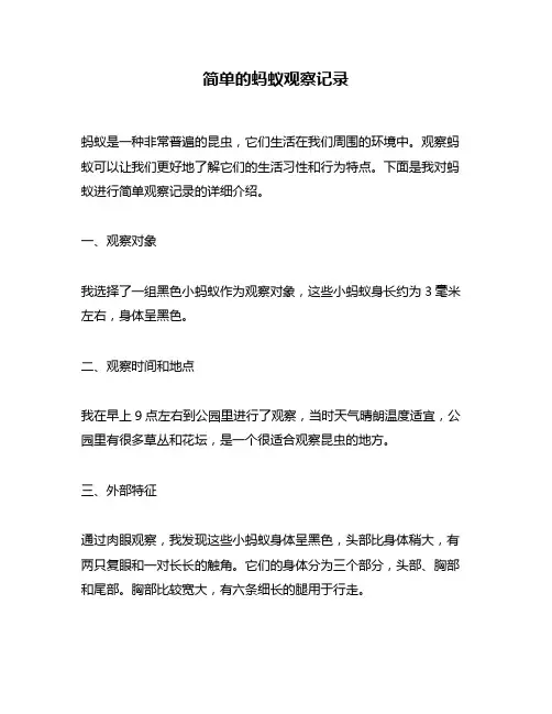 简单的蚂蚁观察记录