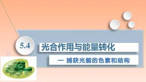 【课件】光合作用与能量转化课件2022-2023学年高一上学期生物人教版必修1