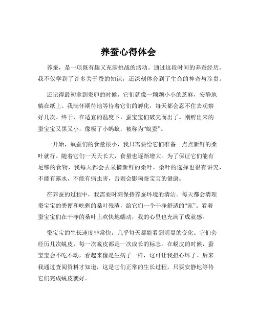 养蚕心得体会