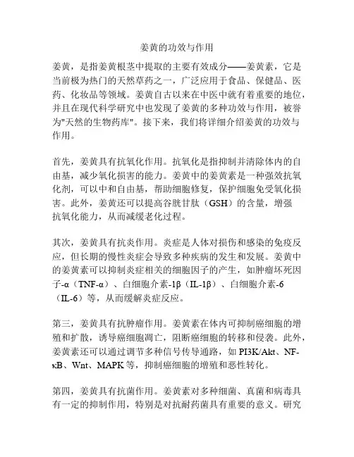 姜黄的功效与作用