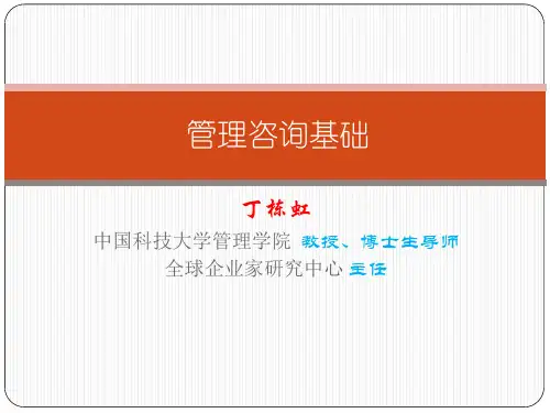 管理咨询——第一篇 理论基础(丁栋虹)
