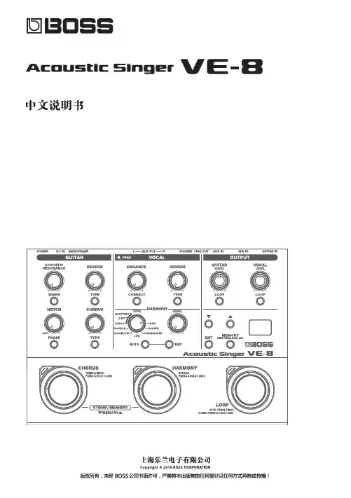 VE-8_中文说明书