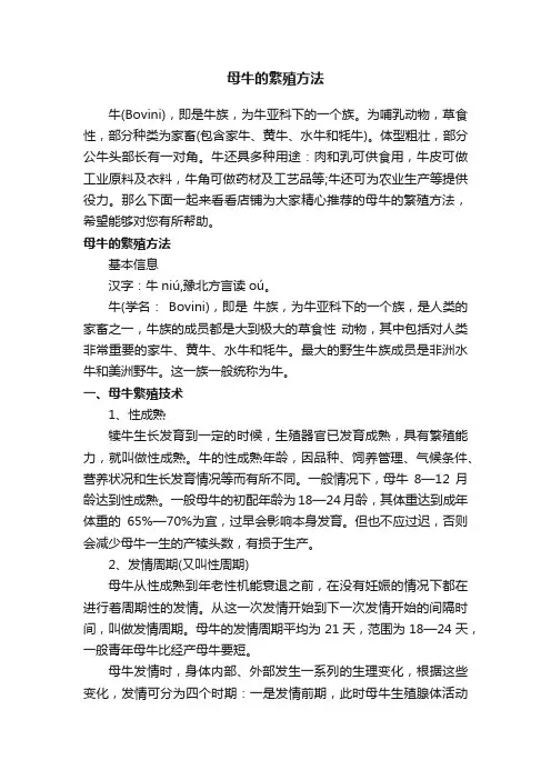 母牛的繁殖方法