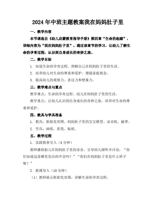 2024年中班主题教案我在妈妈肚子里