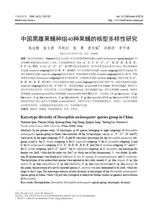 中国黑腹果蝇种组40种果蝇的核型多样性研究