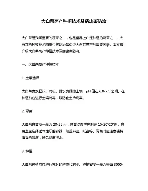 大白菜高产种植技术及病虫害防治