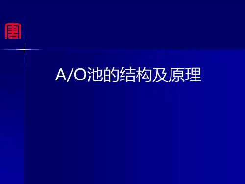 AO池课件