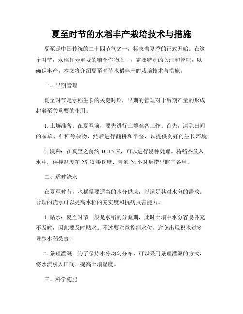 夏至时节的水稻丰产栽培技术与措施