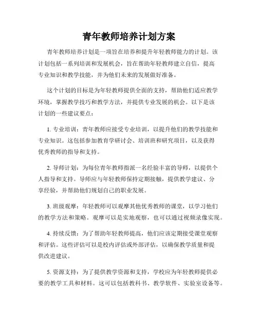 青年教师培养计划方案