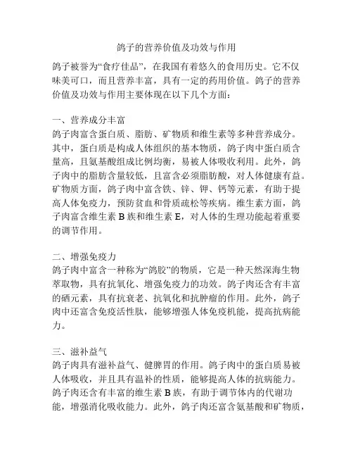 鸽子的营养价值及功效与作用