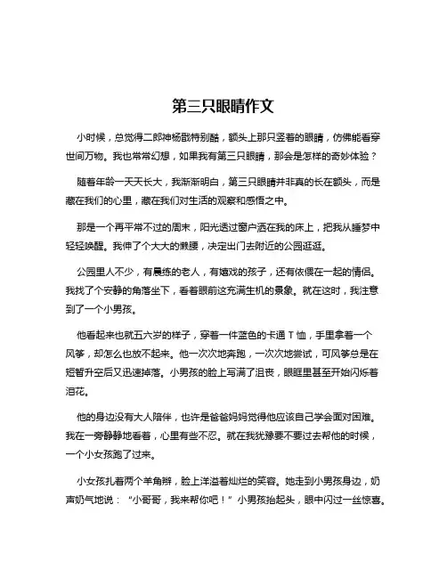 第三只眼晴作文