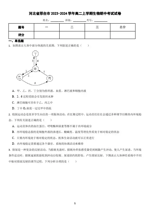 河北省邢台市六校联考2022-2023学年高二上学期期中生物试题