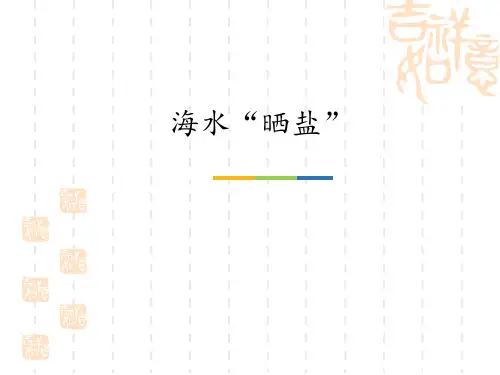 鲁教版九年级化学下册 《海水“晒盐”》海水中的化学 