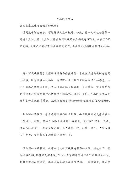 尼珠河大峡谷 