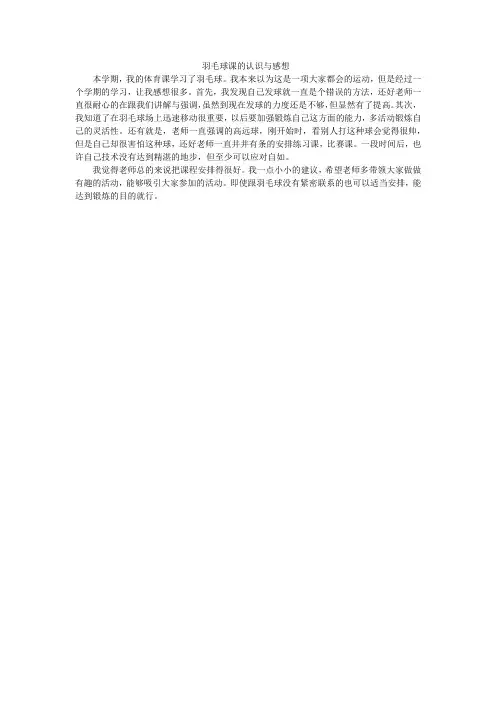 羽毛球课的认识与感想