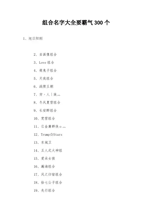 组合名字大全要霸气300个