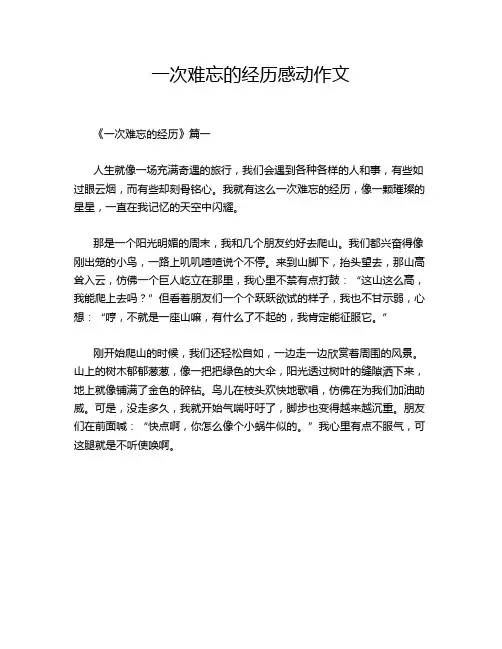一次难忘的经历感动作文