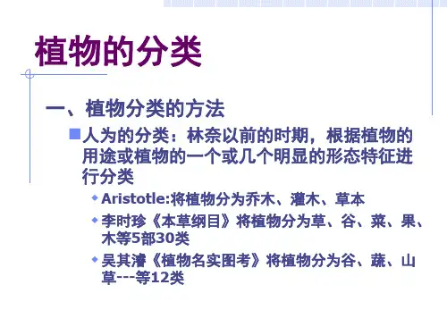 植物分类系统与分类方法