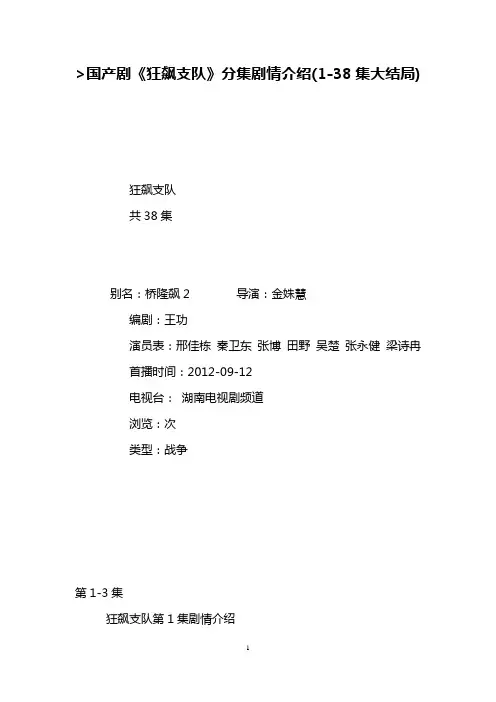国产剧《狂飙支队》分集剧情介绍(1-38集大结局)