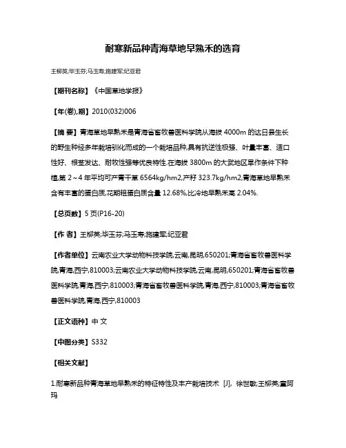耐寒新品种青海草地早熟禾的选育