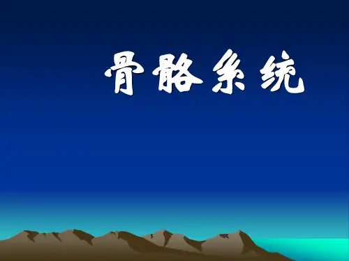骨骼系统课件