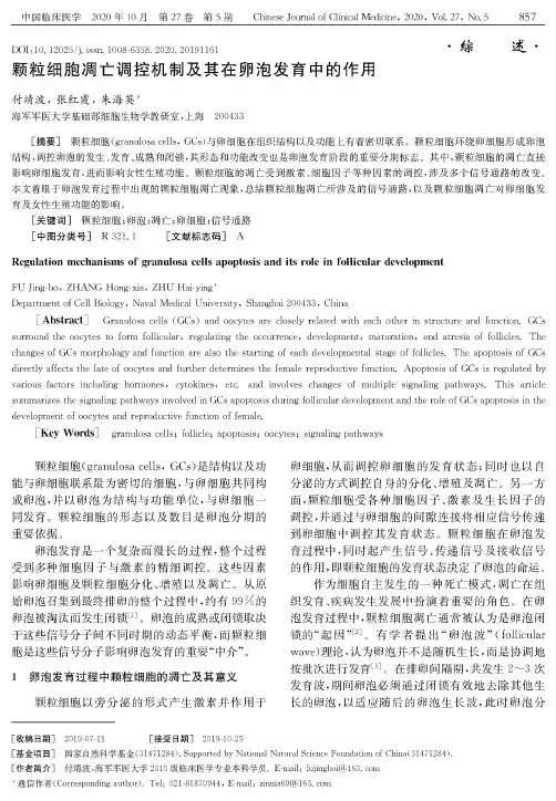 颗粒细胞凋亡调控机制及其在卵泡发育中的作用
