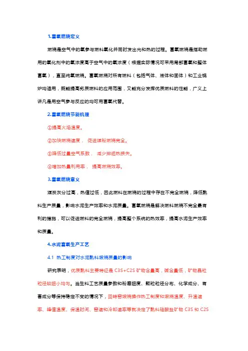 水泥行业富氧燃烧技术应用