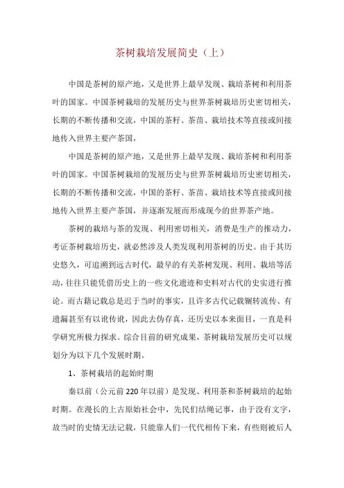 茶树栽培发展简史(上)