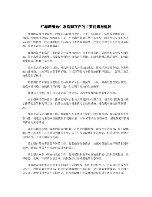 红海滩湿地生态治理存在的主要问题与建议