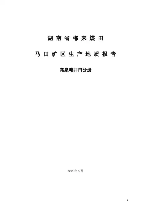 地质报告