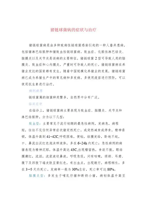 猪链球菌病的症状与治疗