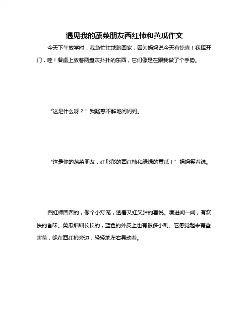 遇见我的蔬菜朋友西红柿和黄瓜作文