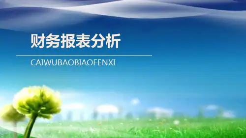 《财务报表分析》课件-第三章 资产质量分析