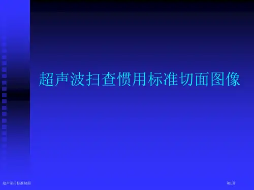 超声常用标准切面