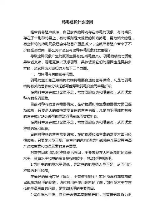 鸡毛蓬松什么原因