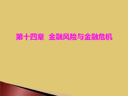 第14章金融风险与金融危机《货币银行学》