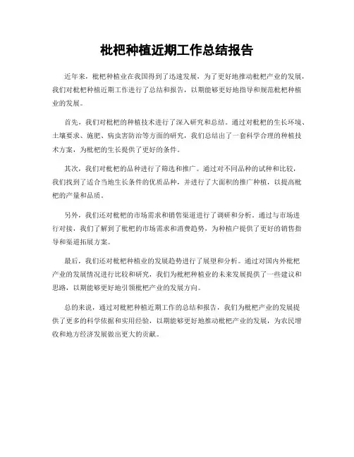 枇杷种植近期工作总结报告