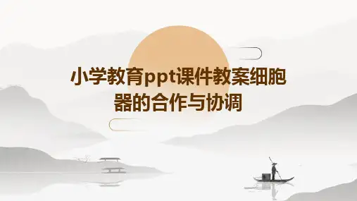 小学教育ppt课件教案细胞器的合作与协调