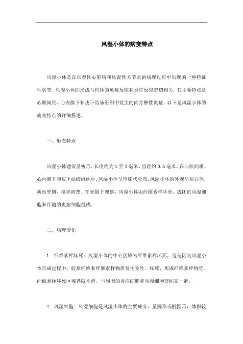风湿小体的病变特点