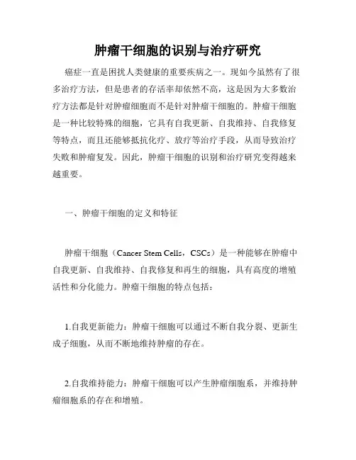 肿瘤干细胞的识别与治疗研究