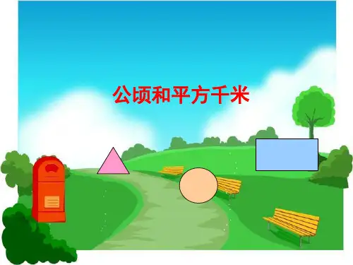 小学人教四年级数学公顷和平方千米课件-(3)