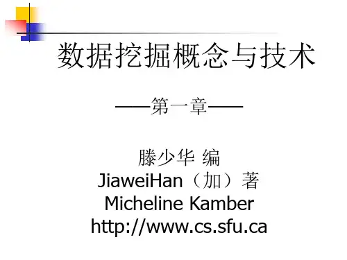 数据挖掘课件.