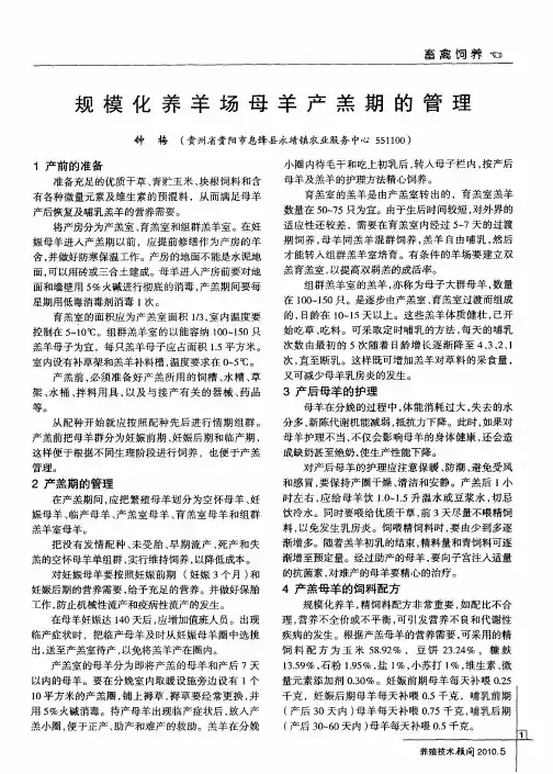 规模化养羊场母羊产羔期的管理